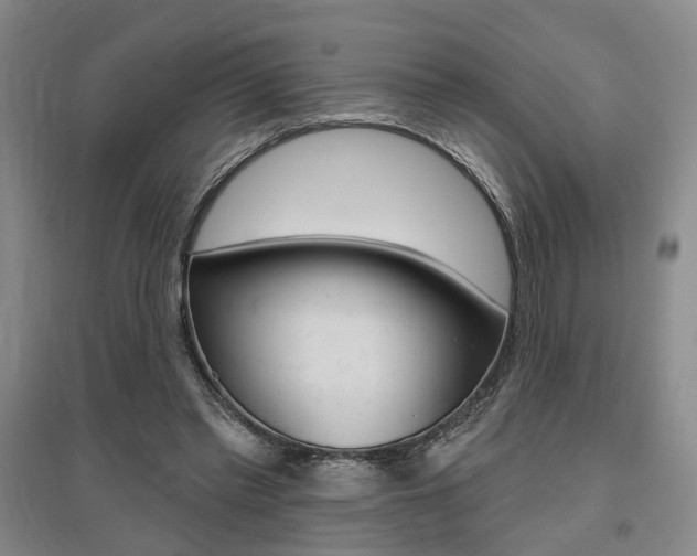 X0000095920397200801110900