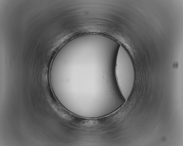 X0000095920398200801110900