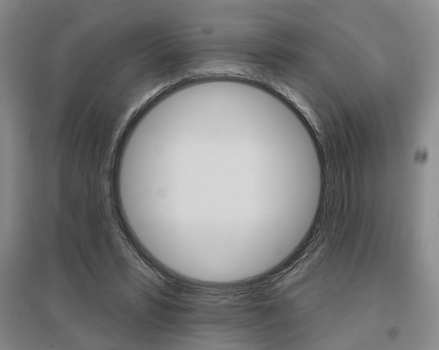 X0000095920399200801110900