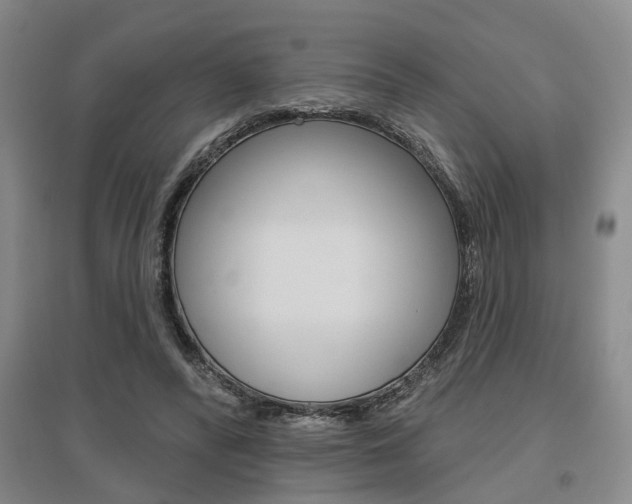 X0000095920400200801110900