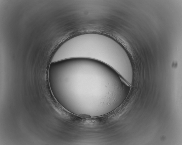 X0000095920401200801110859