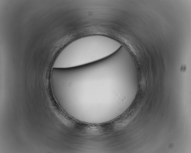 X0000095920402200801110859