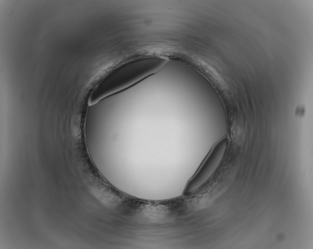 X0000095920403200801110859