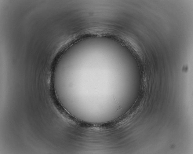 X0000095920404200801110859