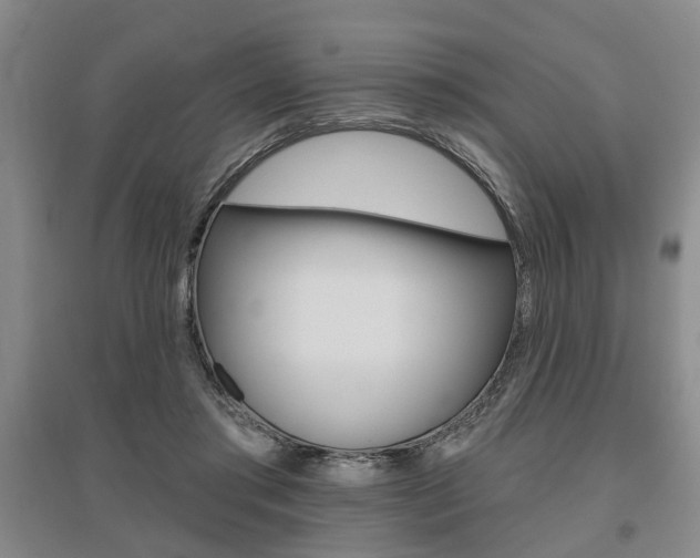 X0000095920405200801110859