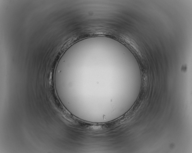 X0000095920406200801110859