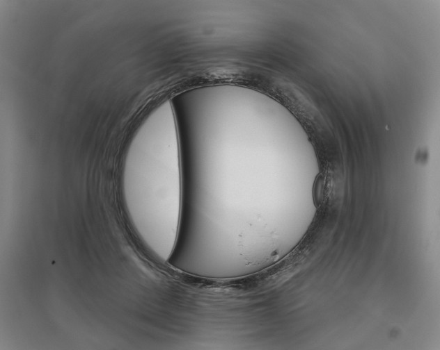 X0000095920408200801110859