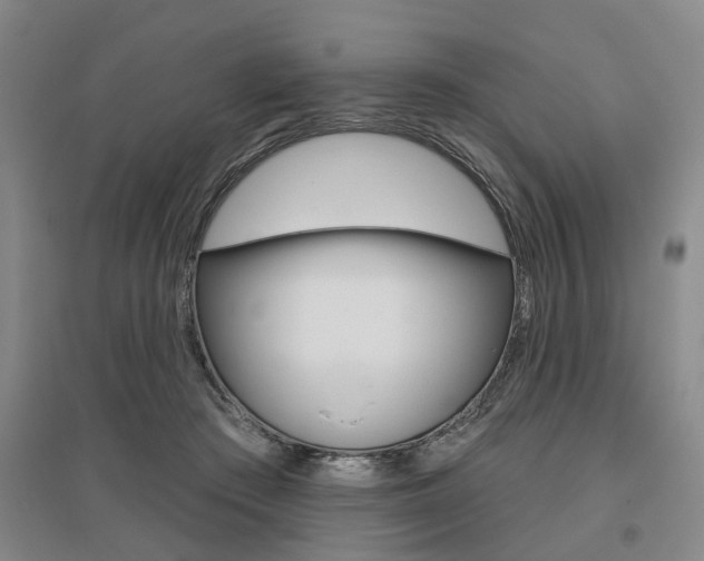 X0000095920409200801110859