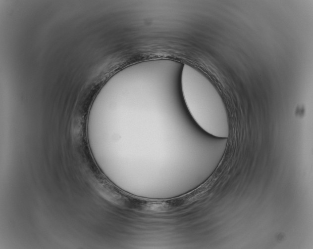 X0000095920410200801110859