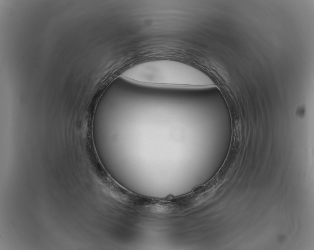X0000095920412200801110859