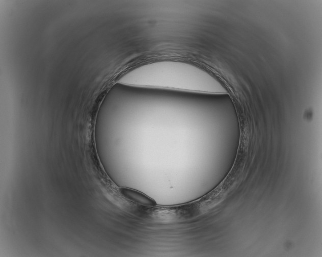 X0000095920413200801110859