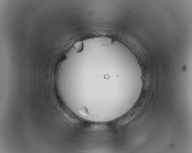 X0000095920414200801110859