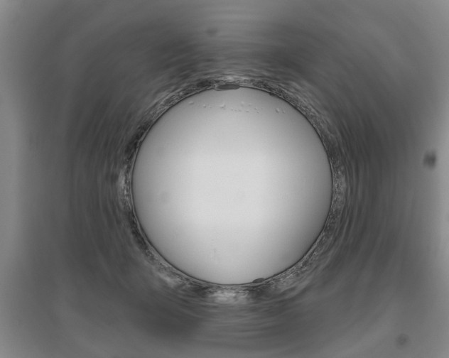 X0000095920415200801110859