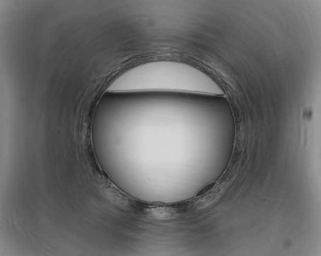X0000095920417200801110859