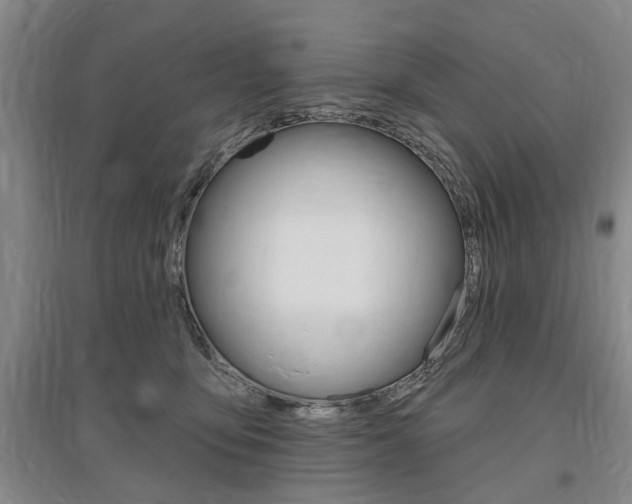 X0000095920419200801110859