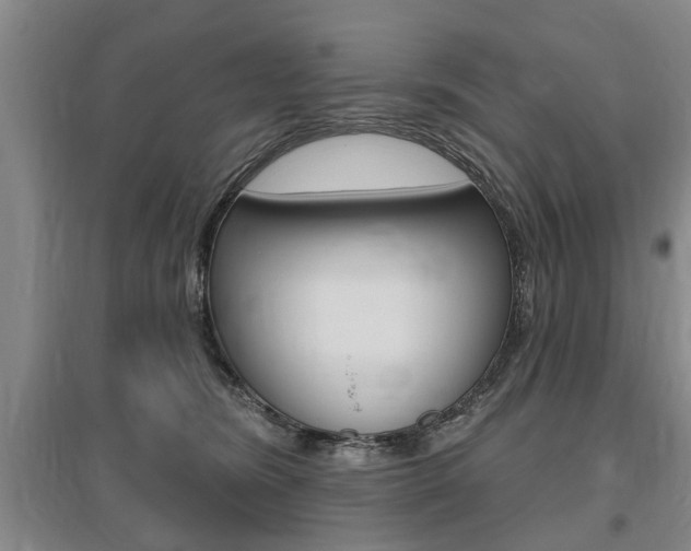 X0000095920420200801110859