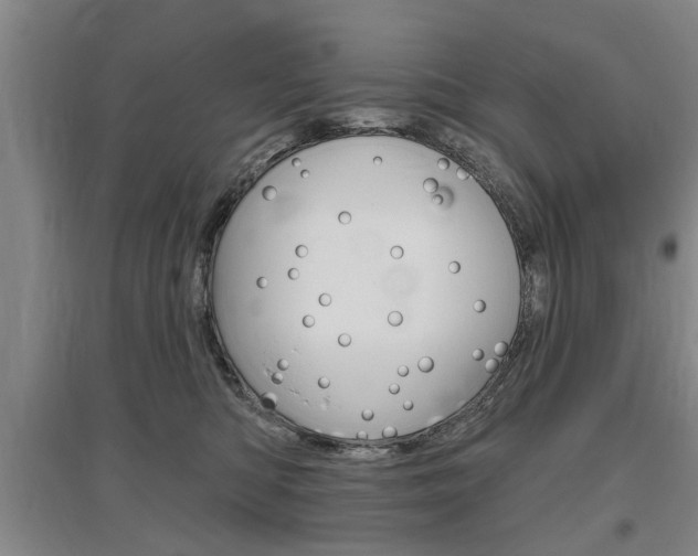 X0000095920422200801110859