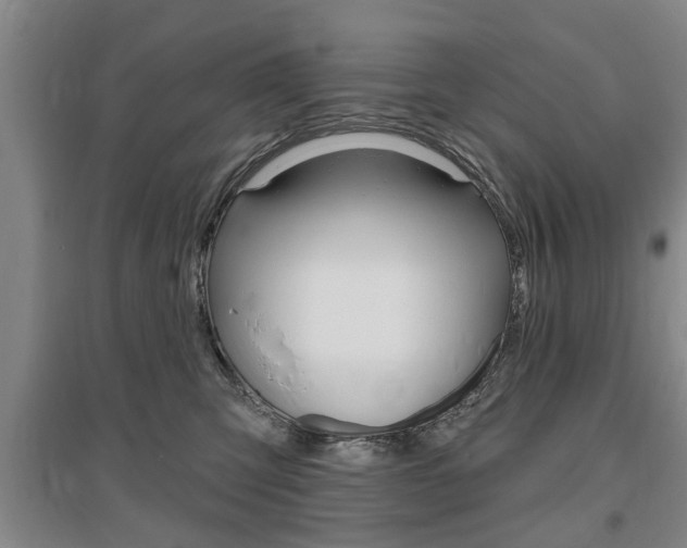 X0000095920423200801110859