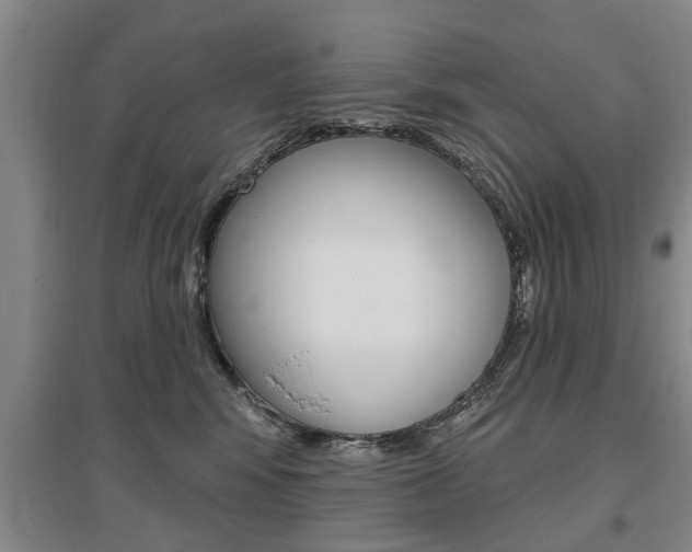 X0000095920424200801110859