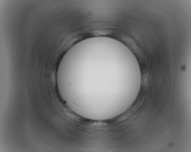 X0000095920426200801110859