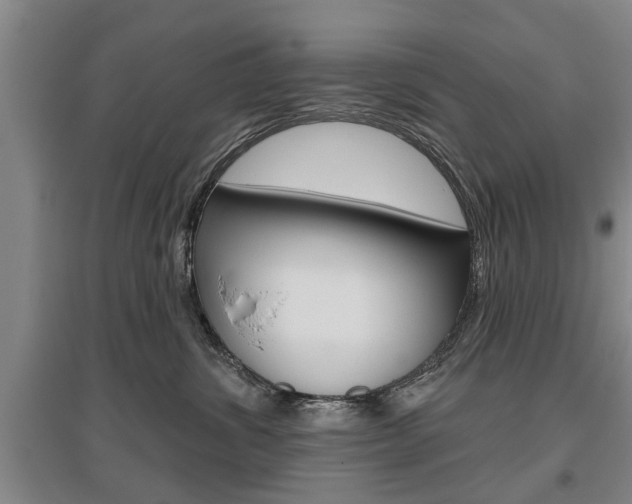X0000095920428200801110859