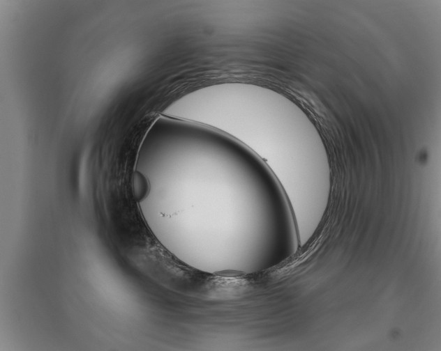 X0000095920429200801110859