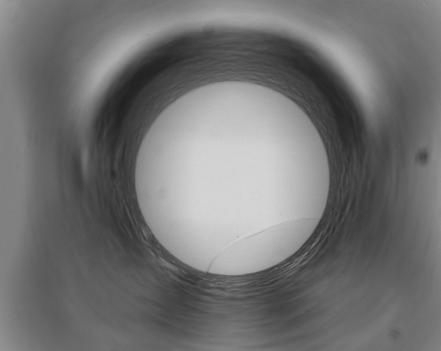 X0000095920431200801110859