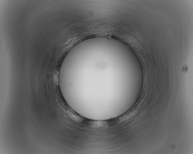 X0000095920432200801110859