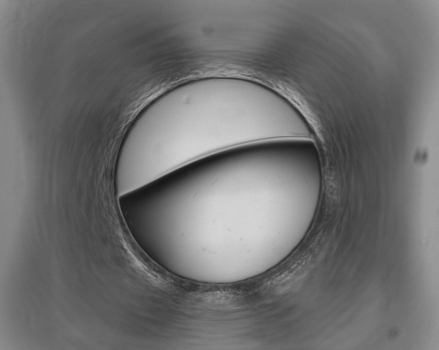 X0000095920433200801110858