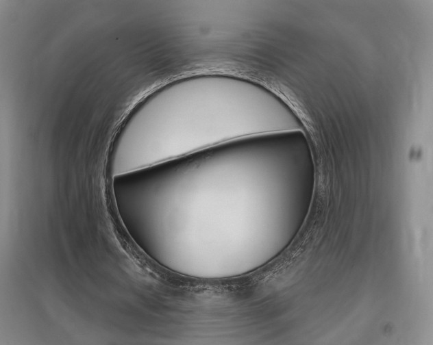 X0000095920434200801110858