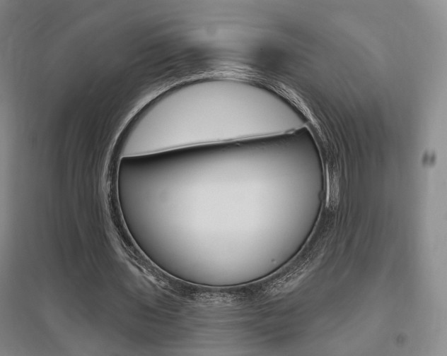 X0000095920435200801110858
