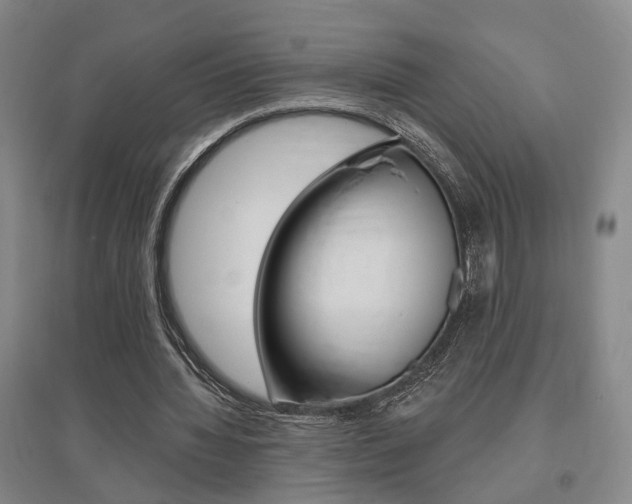 X0000095920436200801110858
