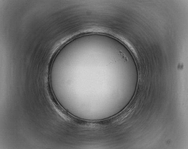X0000095920437200801110858
