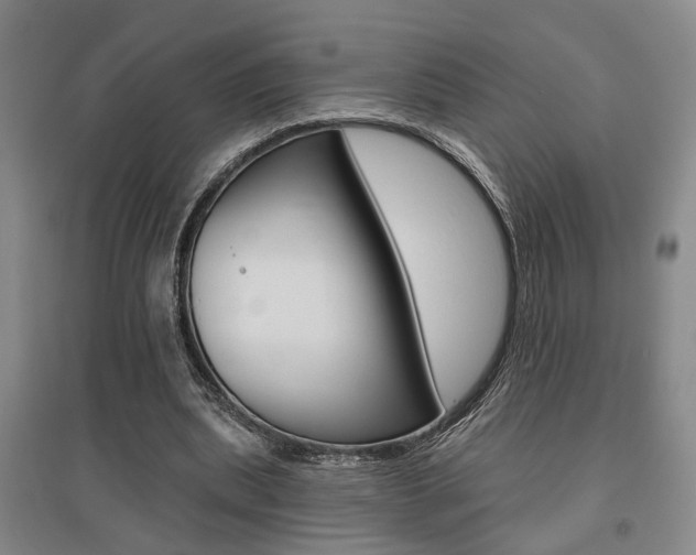 X0000095920439200801110858