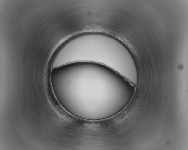 X0000095920440200801110858