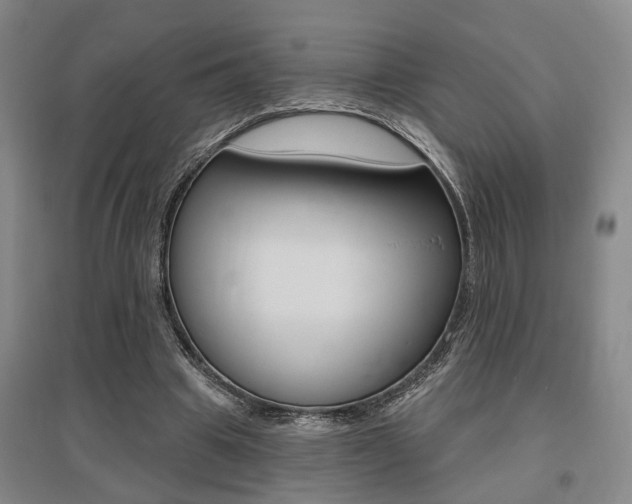 X0000095920441200801110859