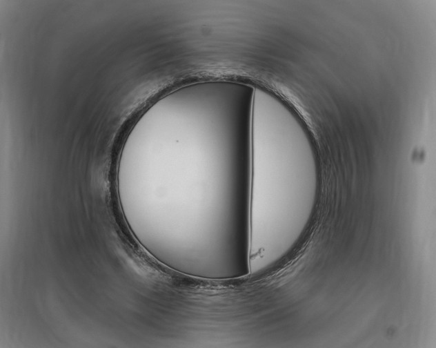 X0000095920443200801110859