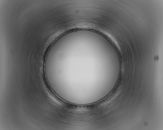 X0000095920445200801110859