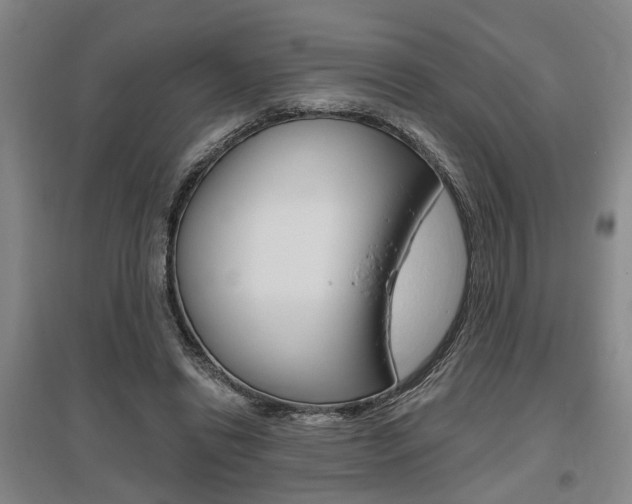 X0000095920446200801110859