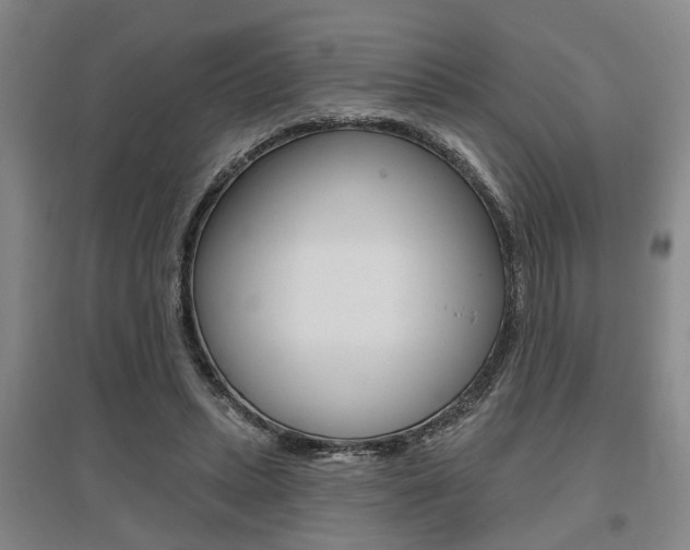 X0000095920447200801110859