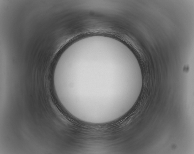 X0000095920448200801110859