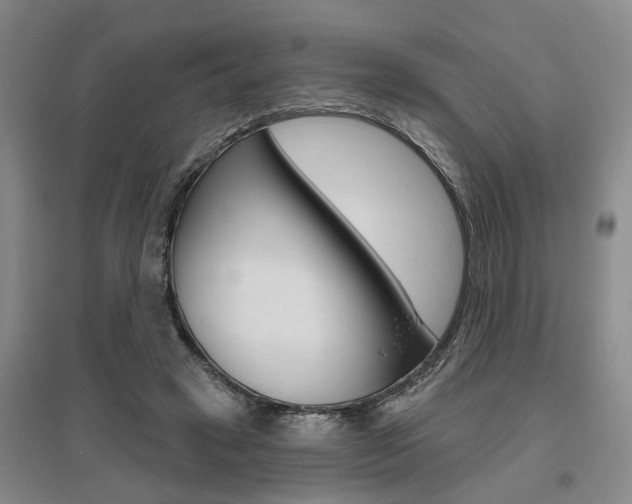 X0000095920449200801110859