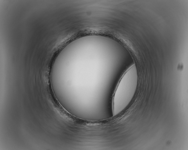 X0000095920450200801110859