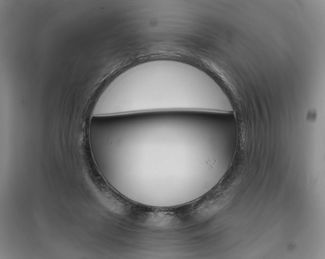 X0000095920451200801110859
