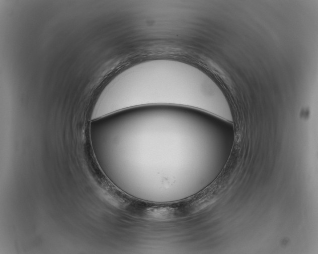 X0000095920452200801110859