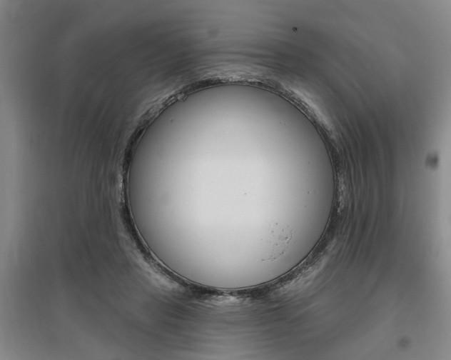 X0000095920453200801110859