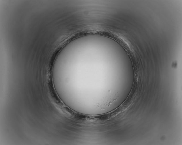 X0000095920455200801110859