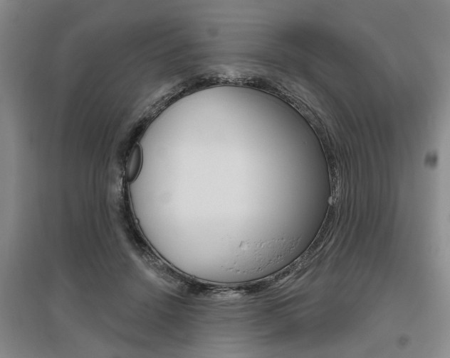 X0000095920456200801110859