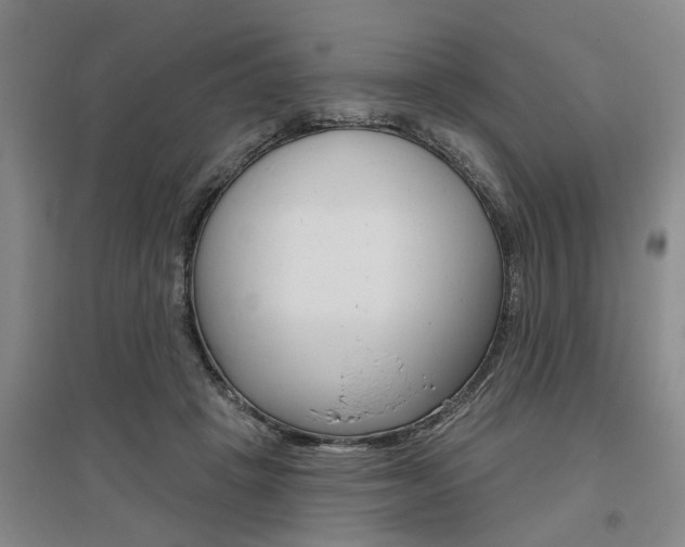X0000095920457200801110859