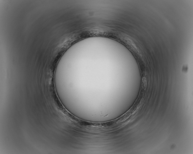 X0000095920458200801110859